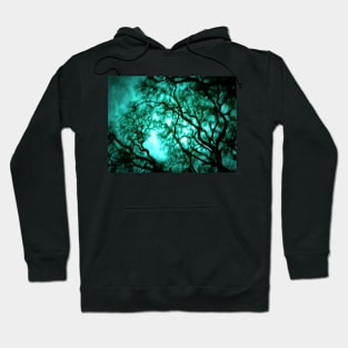 Twisting the Night Away Hoodie